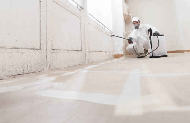 24/7 Emergency Mold Remediation experts in Port Angeles, WA