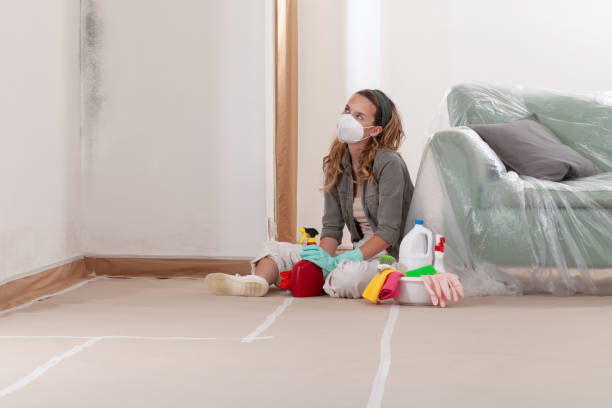 Reliable Mold Remediation contractor in Port Angeles, WA by 24 Hour Mold Removal